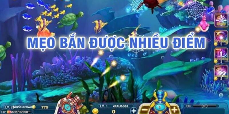cwin777 đá gà