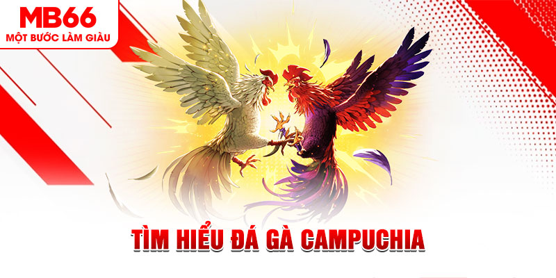 cwin777 tại sao không tải được nổ hũ