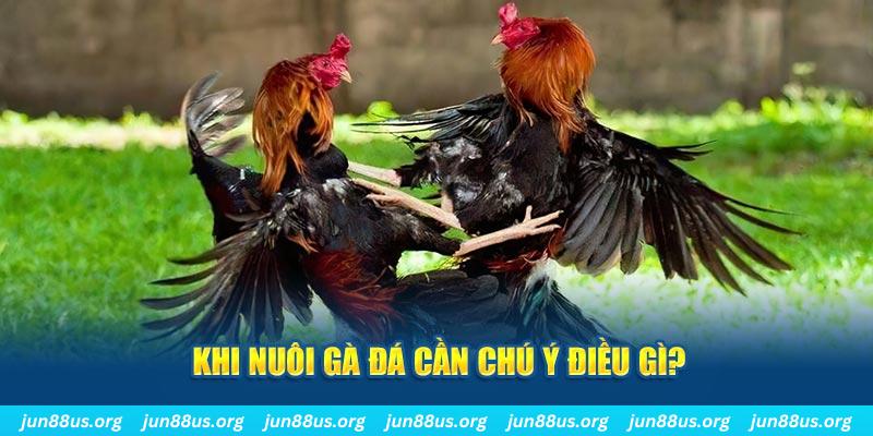 cwin777 ban ca vip online