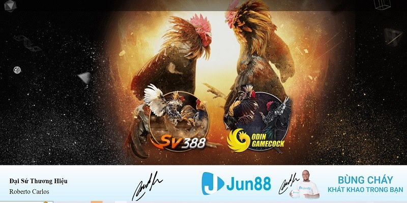 cwin777 xổ số miền nam hàng tuần