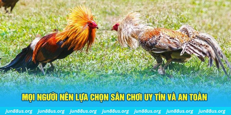 cwin777 hơn cả bạn bè