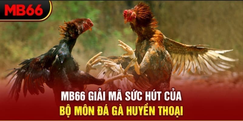 cwin777 long bảo trong baccarat là gì
