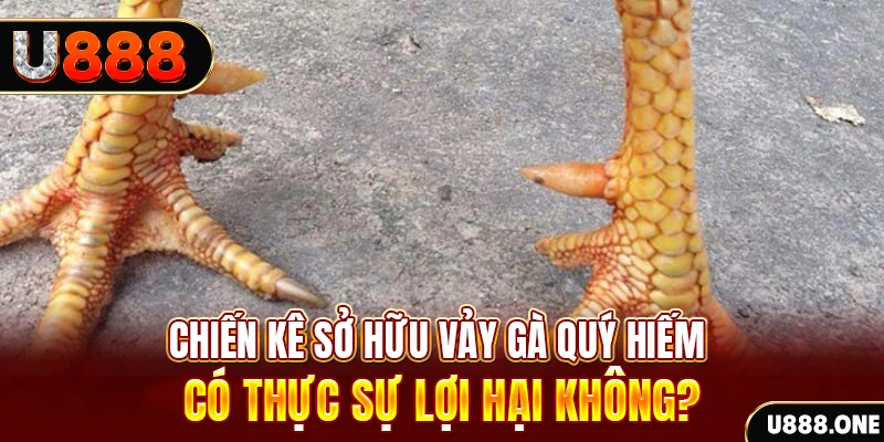 cwin777 game cá cược máy bay