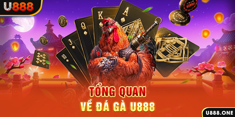 cwin777 chạy quảng cáo cho game bài bị phạt như thế nào